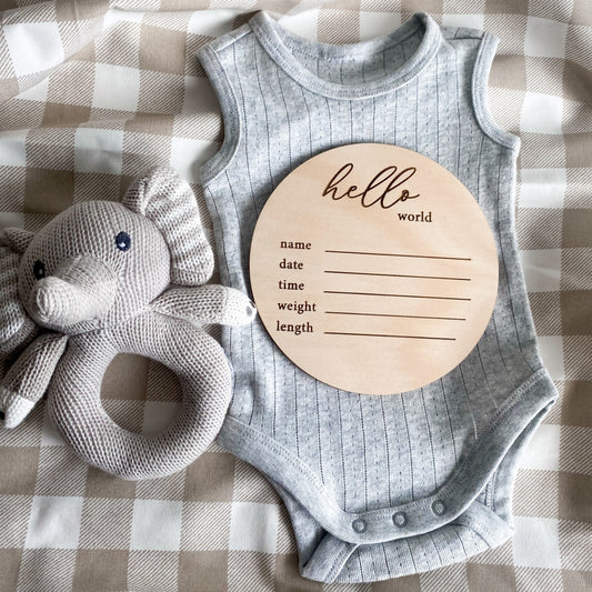 hello world birth details announcement plaque